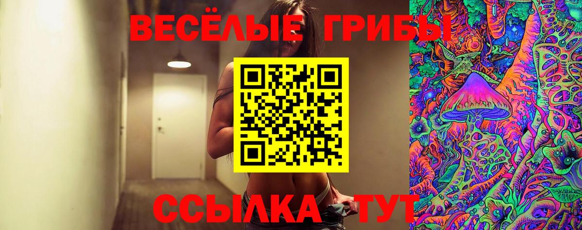 Псилоцибиновые грибы Psilocybe  Псилоцибиновые грибы мицелий  Кировск  что такое   Вход с VPN 